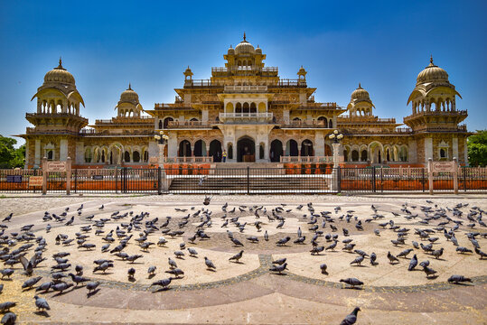 Beautiful architectural view of Albert Hall Museum in Jaipur, Rajasthan, with pigeons in the foreground under a clear blue sky – a top tourist attraction in India.